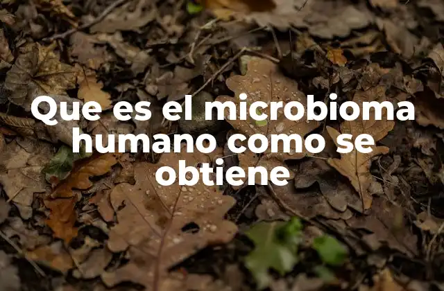 Que es el Microbioma Humano como Se Obtiene