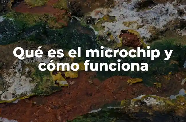 Qué es el Microchip y Cómo Funciona