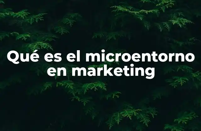 Qué es el Microentorno en Marketing