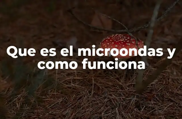 Que es el Microondas y como Funciona