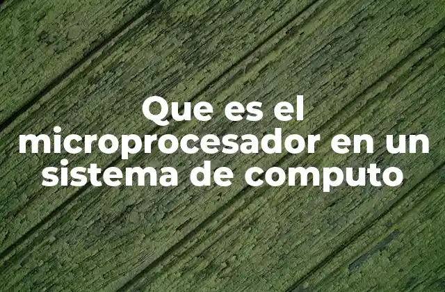Que es el Microprocesador en un Sistema de Computo