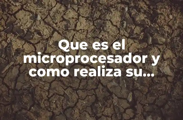 Que es el Microprocesador y como Realiza Su Función