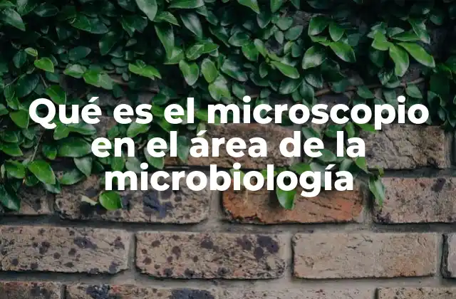 El microscopio como herramienta clave en el estudio de los microorganismos