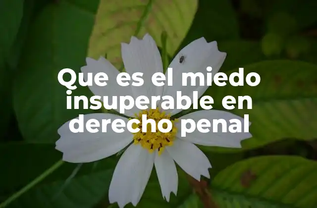 Que es el Miedo Insuperable en Derecho Penal 2 El miedo insuperable como factor atenuante o exculpante