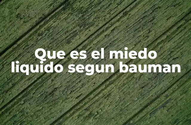 Que es el Miedo Liquido Segun Bauman