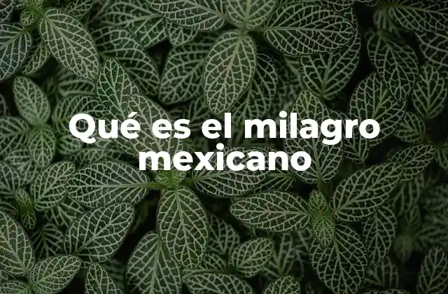 Qué es el Milagro Mexicano