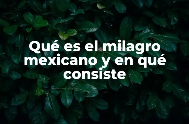 Qué es el Milagro Mexicano y en Qué Consiste