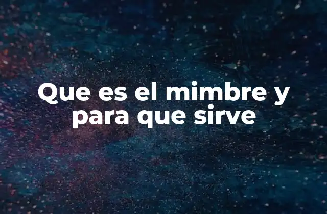 Que es el Mimbre y para que Sirve 2 El mimbre como material sostenible y natural