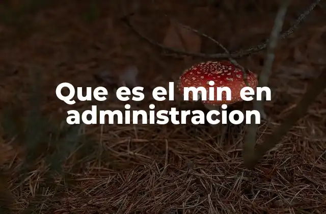 Que es el Min en Administracion 2 El papel del min en modelos de optimización administrativa