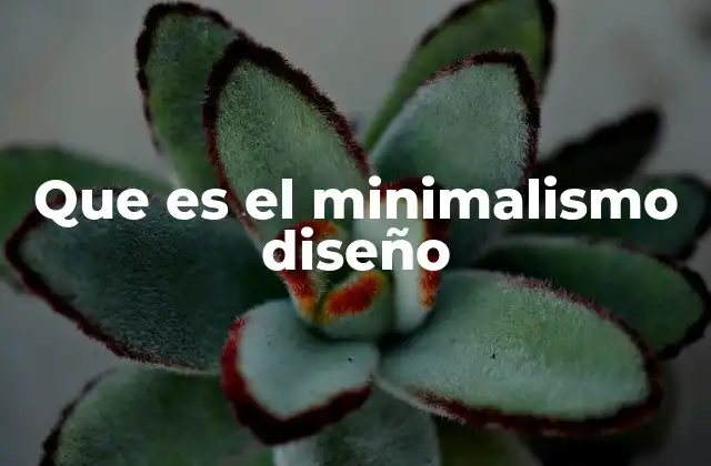 Que es el Minimalismo Diseño