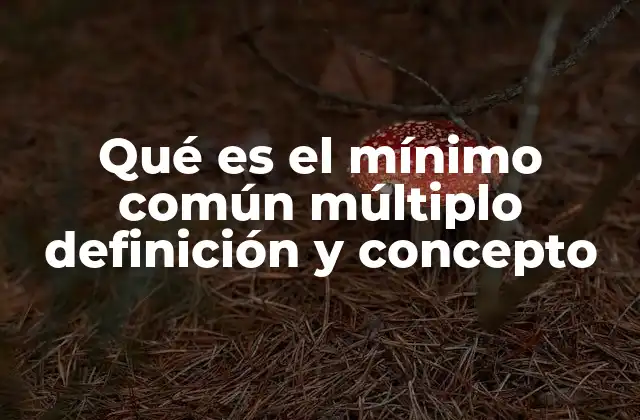 Qué es el Mínimo Común Múltiplo Definición y Concepto