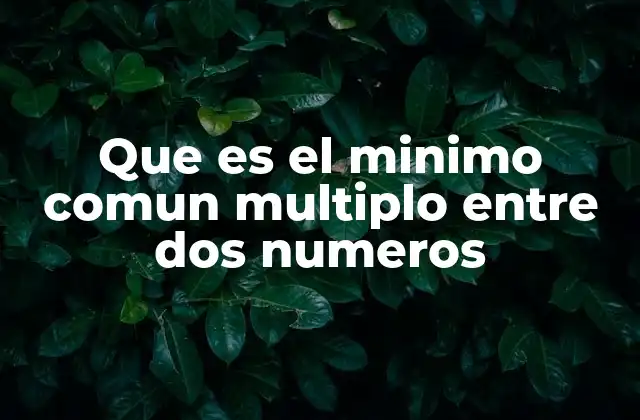 Que es el Minimo Comun Multiplo entre Dos Numeros