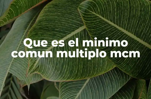 Que es el Minimo Comun Multiplo Mcm