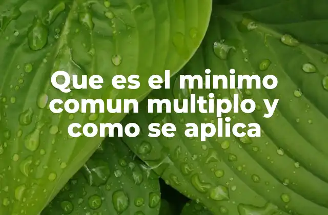 Que es el Minimo Comun Multiplo y como Se Aplica 2 El Mínimo Común Múltiplo en la vida cotidiana y académica
