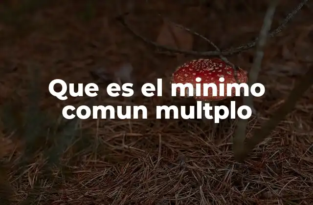 Que es el Minimo Comun Multplo
