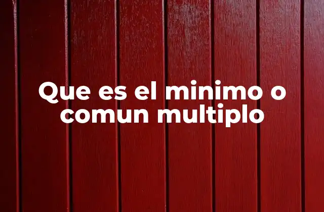 Que es el Minimo o Comun Multiplo