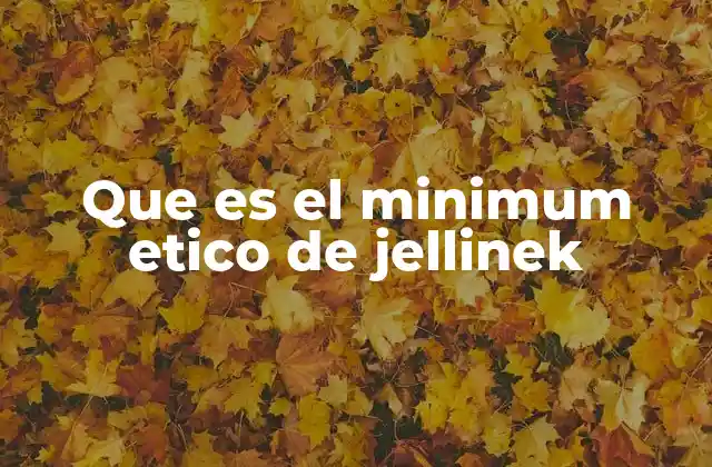 Que es el Minimum Etico de Jellinek 2 El marco ético como base para el sistema legal