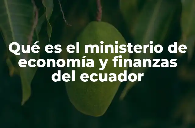 Qué es el Ministerio de Economía y Finanzas Del Ecuador 2 El rol del Ministerio en la estabilidad financiera del Ecuador