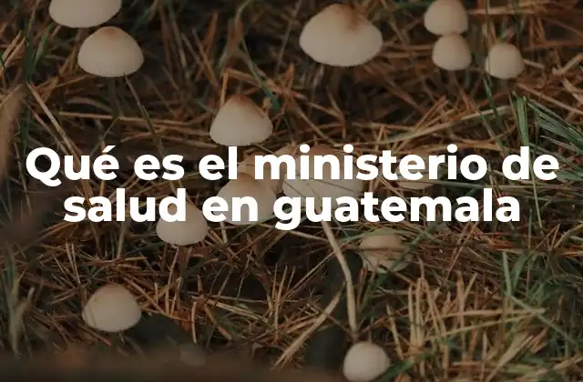 Qué es el Ministerio de Salud en Guatemala