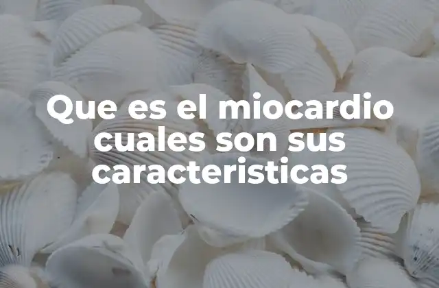 Que es el Miocardio Cuales Son Sus Caracteristicas