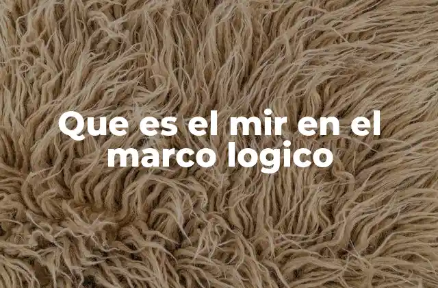 Que es el Mir en el Marco Logico