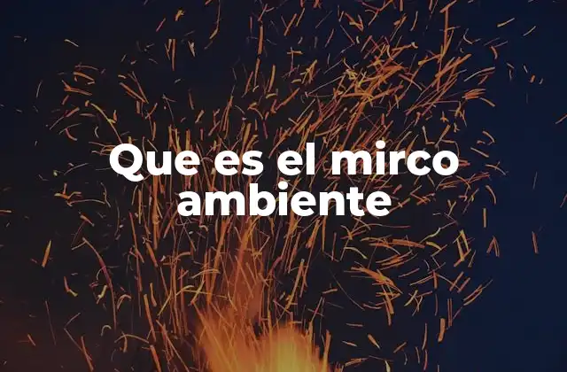 Que es el Mirco Ambiente