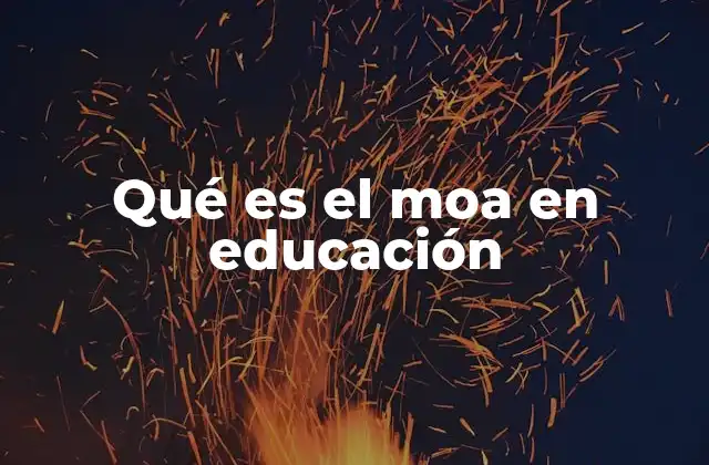Qué es el Moa en Educación