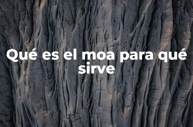 Qué es el Moa para Qué Sirve