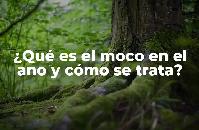 ¿qué es el Moco en el Ano y Cómo Se Trata?