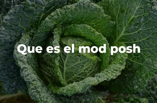 Que es el Mod Posh