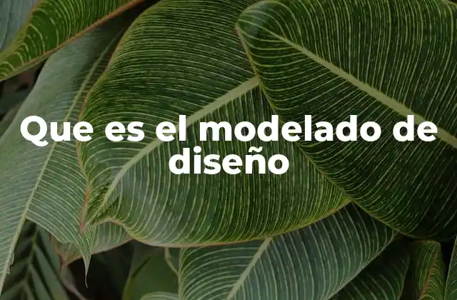 Que es el Modelado de Diseño
