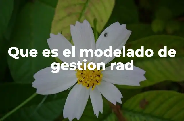 Ventajas del modelado de gestión RAD