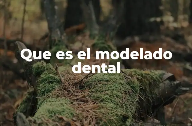 Que es el Modelado Dental