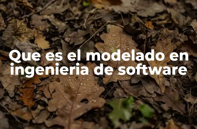 Que es el Modelado en Ingenieria de Software
