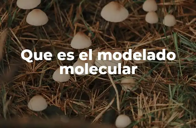 Que es el Modelado Molecular