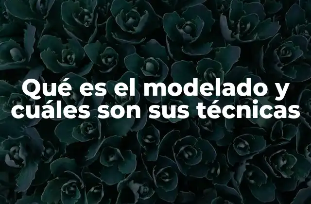 Qué es el Modelado y Cuáles Son Sus Técnicas 2 El arte de representar la realidad