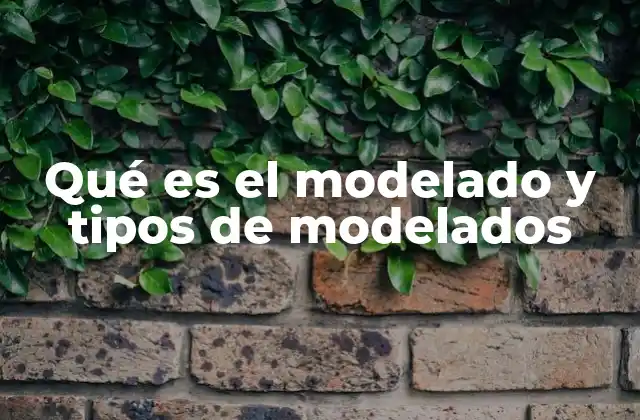 Qué es el Modelado y Tipos de Modelados