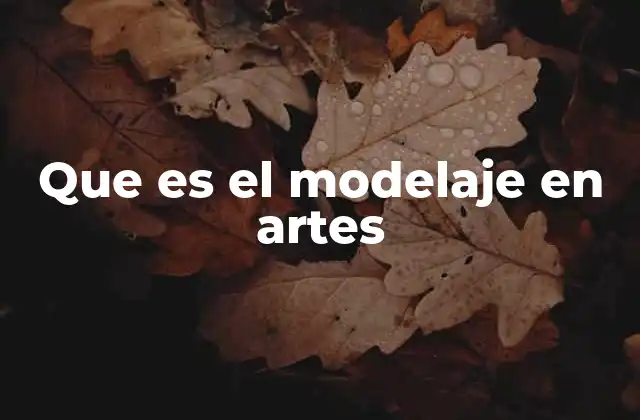 Que es el Modelaje en Artes