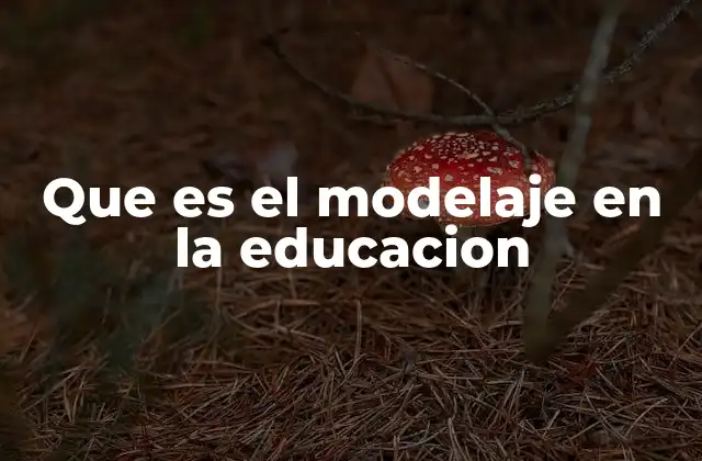 Que es el Modelaje en la Educacion