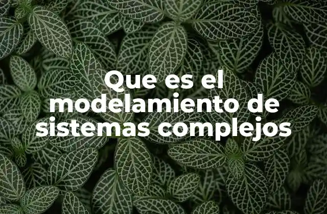 Que es el Modelamiento de Sistemas Complejos