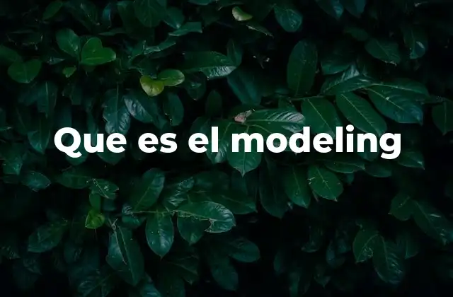 Que es el Modeling