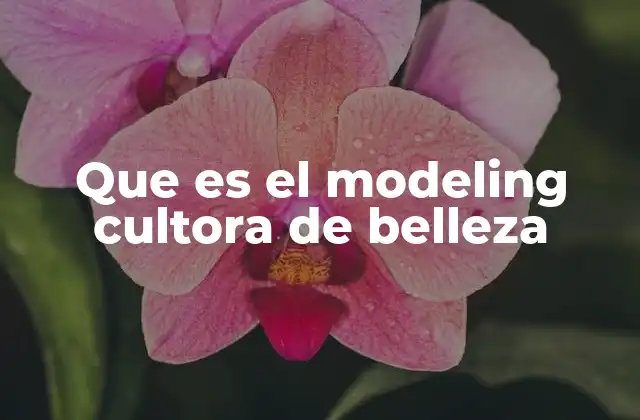 Que es el Modeling Cultora de Belleza