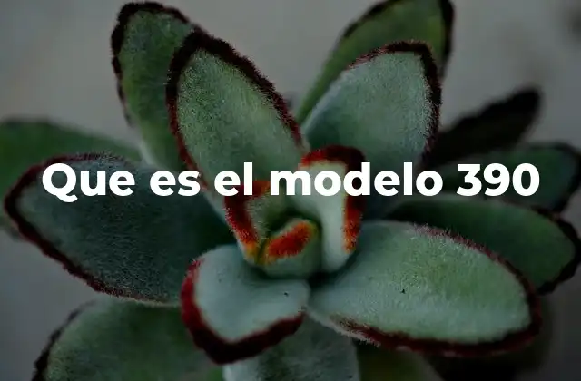 Que es el Modelo 390
