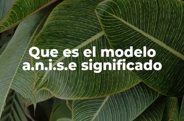 Que es el Modelo A.n.i.s.e Significado