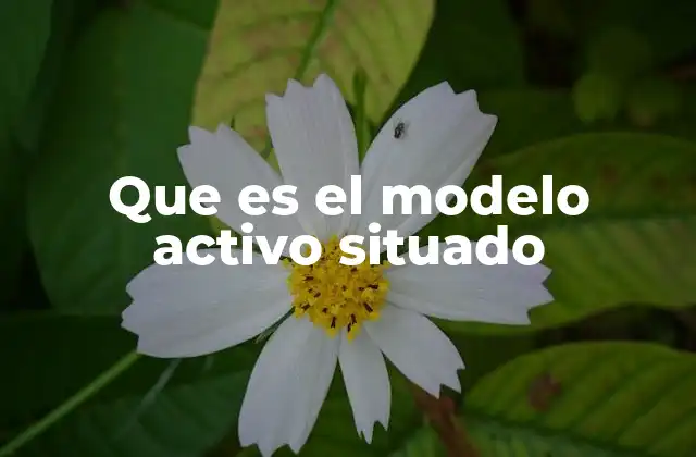 Que es el Modelo Activo Situado 2 El aprendizaje en contextos reales