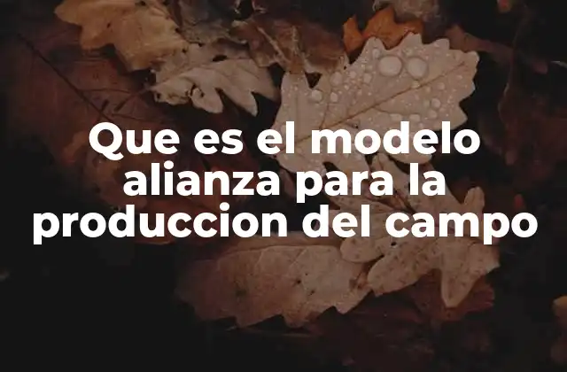 Que es el Modelo Alianza para la Produccion Del Campo
