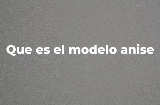 Que es el Modelo Anise