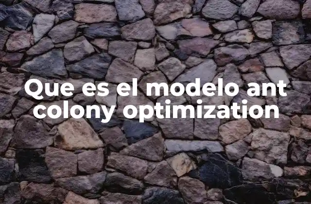 Que es el Modelo Ant Colony Optimization