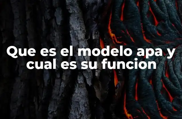 Que es el Modelo Apa y Cual es Su Funcion