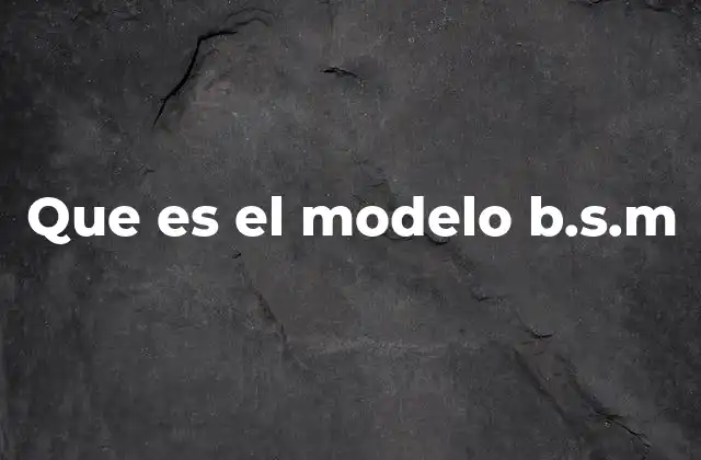 Que es el Modelo B.s.m
